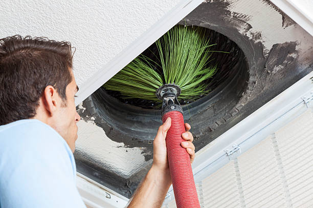 Best Affordable Duct Cleaning Services  in Ruston, WA